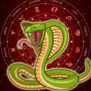 Kaal Sarp Dosh Nivaran Pooja