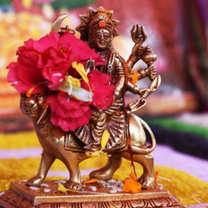 Kunjika Stotra Path and Havan