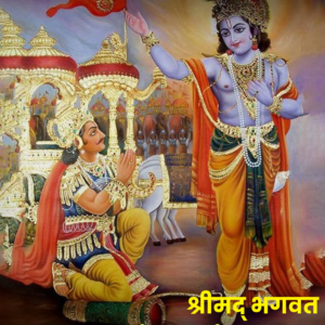 Shrimad Bhagwat Pothi Path